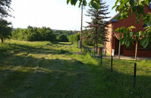 thumb_3586767_7r.jpg