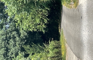 thumb_3586791_img_5676.jpeg