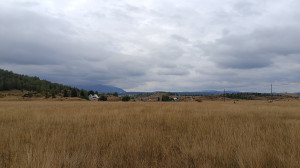 thumb_3587821_img_20230907_135731.jpg