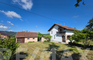 thumb_3588401_vucijak--0.jpg