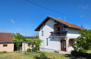 thumb_3588401_vucijak--11.jpg