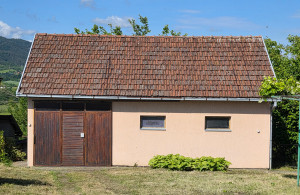 thumb_3588401_vucijak--8.jpg