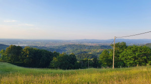 thumb_3588419_a8.jpg
