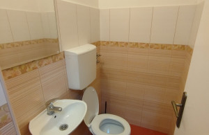 thumb_3588510_img_6687.jpeg