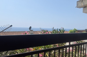 thumb_3588687_img_2656.jpeg