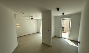 thumb_3589296_img_1817.jpg