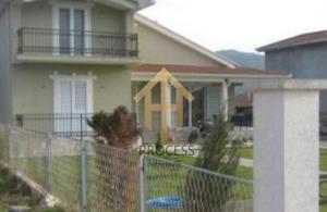 thumb_3589376_img_4641.jpg
