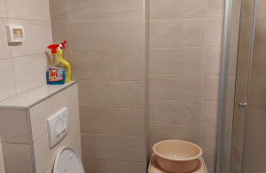 thumb_3589382_img_9979.jpeg