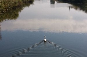thumb_3589599_5.jpg