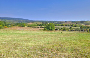 thumb_3589621_3-hopovo-kopie.jpg