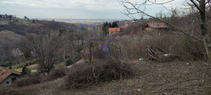 thumb_3590276_5.jpg