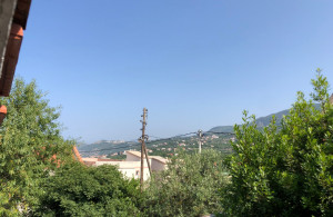 thumb_3590310_photo_2_2025-06-16_16-17-56.jpg