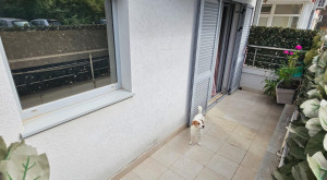 thumb_3590397_6.jpg