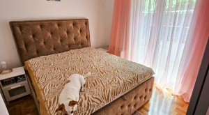 thumb_3590397_8.jpg