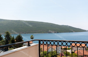 thumb_3591047_12.jpg