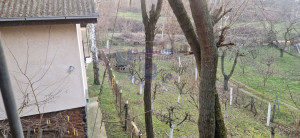 thumb_3591087_image_67d08d4c5aa2c1b819f23dcc.jpg