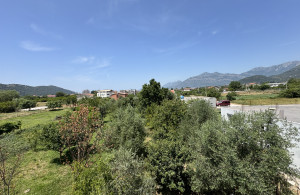 thumb_3591190_img_4031.jpeg