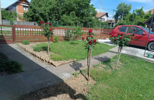 thumb_3591250_4.jpg
