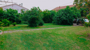thumb_3591324_3.jpg