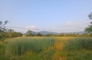 thumb_3591909_img-6e466ce3282a6ad637dd414c1d63dd27-v.jpg