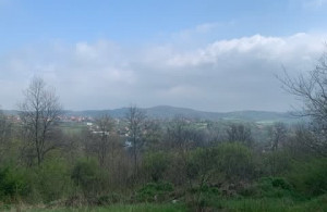 thumb_3592030_4.jpg