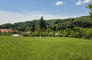 thumb_3592063_4._parcela.jpg