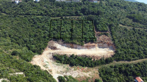 thumb_3593491_dji_0405.jpg