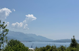 thumb_3594136_5.jpg