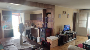 thumb_3594169_image_68541cedf8eabd5bcada43eb.jpg