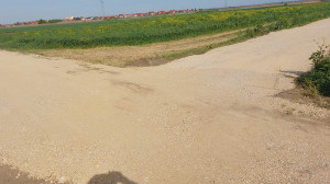 thumb_3594206_2.jpg