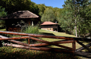 thumb_3594216_apartmani-reka-i-mir-1.jpg