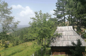 thumb_3594225_bakina-koliba-14.jpeg