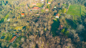 thumb_3594780_dji_0027-hdr-1738067886929.jpeg