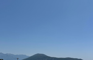 thumb_3594818_7.jpg
