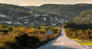 thumb_3595249_nerezisca-3.jpg