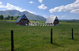thumb_3595409_4.jpg
