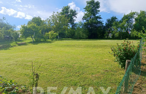 thumb_3596006_5.jpg
