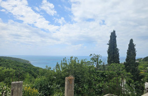 thumb_3596046_img_7051.jpeg
