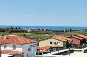 thumb_3596072_contessa-pogled.jpg