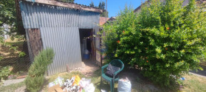 thumb_3596148_image_68569c298c337afab338095a.jpeg