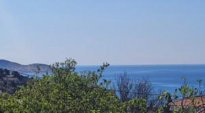 thumb_3596911_4.jpg