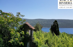 thumb_3596995_lasi_ads_kumbor_herceg_noviplot_landplot_plac_zemlja--8-.jpg