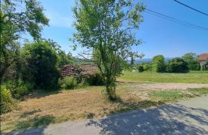 thumb_3597020_slika1.jpg