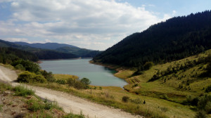 thumb_3597047_img-0b2e4d2945c29881cfaec8f93915707b-v.jpg