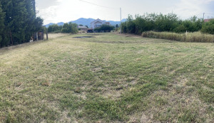 thumb_3597138_img_6237.jpeg