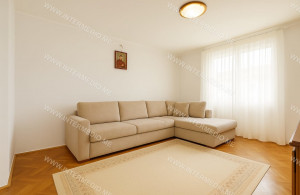 thumb_3597717_2.jpg