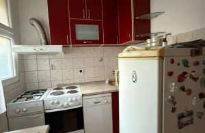 thumb_3598523_nikola-stan1.jpg