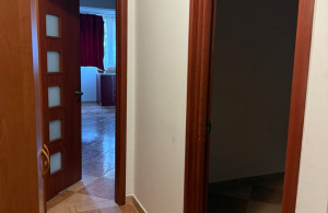 thumb_3598523_nikola-stan3.jpg