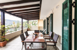 thumb_3598580_happy-montenegro-energoproekt-savina02.jpg