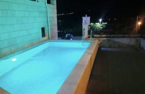 thumb_3598692_img_8775.jpg